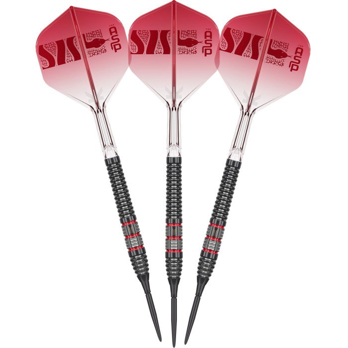 Target Nathan Aspinall 95K 95% Swiss Point steel tip darts with points and K-Flex